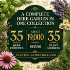 gardeners basics 35 medicinal herb seeds variety pack shown in use