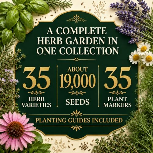 gardeners basics 35 medicinal herb seeds variety pack shown in use