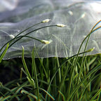 garden netting pest barrier: ultra fine 15'x30' bug, front angle view