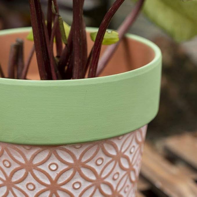 Terracotta Plant Pots Set of 2-5.9 Inch Vintage Pattern Clay Flowerpots with Green Rim & Drainage Holes, Decorative Terra Cotta Pots for Indoor Outdoor Garden Home Decor