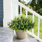 artificial fake greenery plants boxwood shrubs grass for shown in use