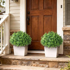 artificial boxwood topiary ball trees for front door, front angle view