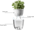 Self Watering Pots for Indoor Plants, Flower Pots, Self Watering Plant Pot-3pcs 6inch Clear