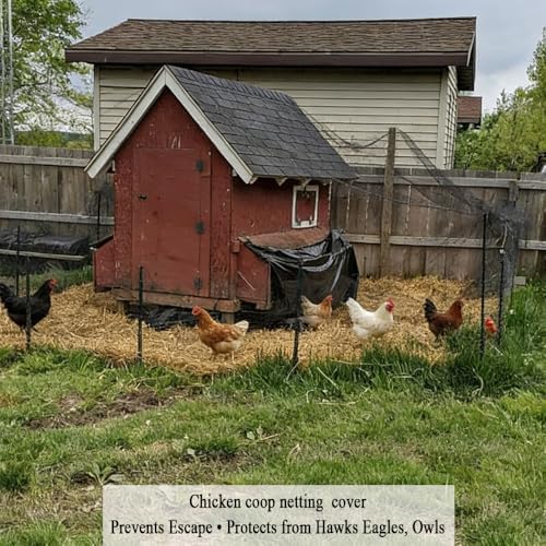 bird netting for chicken coop 25x50 ft, 1" shown in use