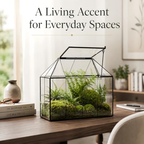 large glass terrarium house planter – succulent plant on a desk or shelf