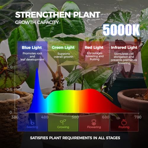 barrina lp600 indoor greenhouse with grow light, 4, side view