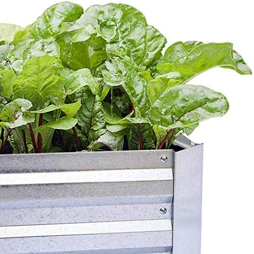 galvanized raised garden bed 6x3x1ft 2-pack, package contents