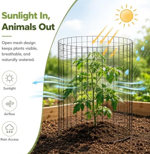 metal wire plant protector,10 pack garden cages for, side view