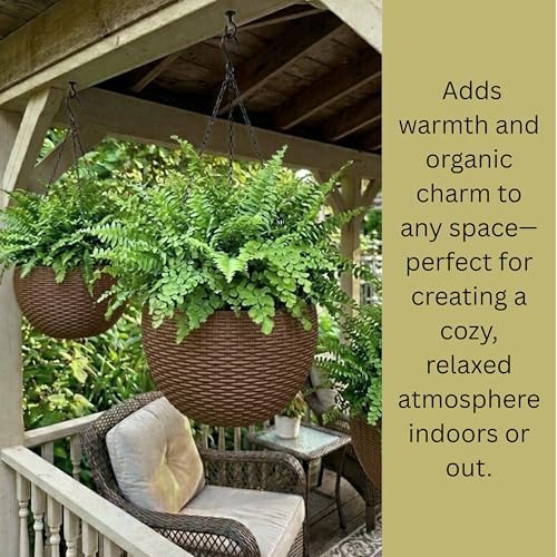 lalagreen hanging planters (11in, 2 pack) self-watering hanging showing dimensions
