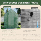 small greenhouse for outdoors, walk-in plant greenhouse with on a desk or shelf