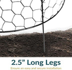 sunnydaze chicken wire cloche covers for plant protection showing dimensions