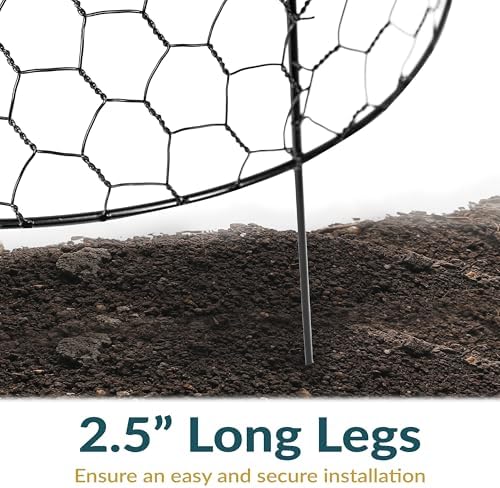 sunnydaze chicken wire cloche covers for plant protection showing dimensions