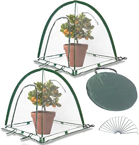 porayhut pop up greenhouse cover flower house,pack of on a desk or shelf