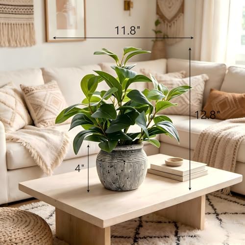 alphaacc 12.8" artificial ficus plant in cement pot shown in use