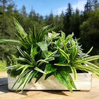 artificial plants for outdoors faux greenery leaves uv, front angle view