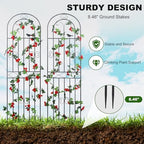 70.8" h x 19.7" w metal garden trellis shown in use