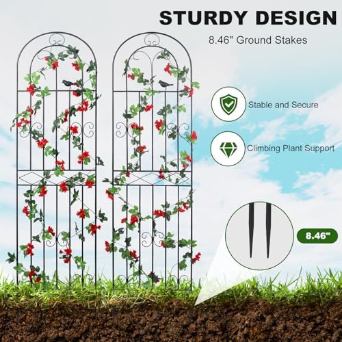 70.8" h x 19.7" w metal garden trellis shown in use