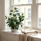 alphaacc 17" artificial ficus cement pot home kitchen shown in use
