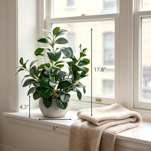 alphaacc 17" artificial ficus cement pot home kitchen shown in use