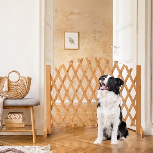 vingli 2pcs expandable garden fence with arched top on a desk or shelf