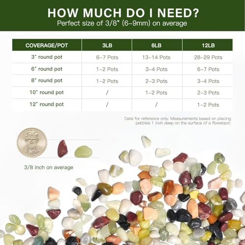 NUPICK 3 lbs Pebbles for Indoor Plants, 3/8 Inch Pea Gravel for Fish Tank | Polished Decorative Rocks for Succulent, Natural River Stones for Vases, Cactus, Landscaping, Bird Bath, Aquarium, Colorful