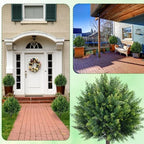 27.6'' artificial cedar topiary ball trees (2 pack) shown in use