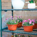 worth garden 50% extra wide mini greenhouse 4 on a desk or shelf