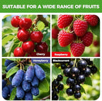 blueberry bush netting cover 2 pack, 10 x on a desk or shelf