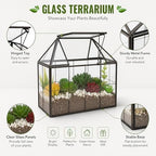 ferrisland glass geometric plant terrarium, clear glass succulent showing dimensions