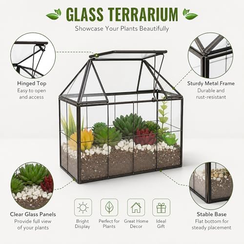 ferrisland glass geometric plant terrarium, clear glass succulent showing dimensions