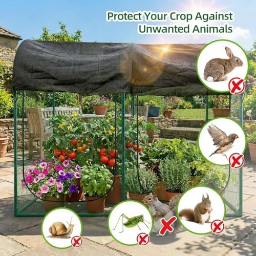 crop cages for garden plant: 8.2x4.1x6ft shade cloth shown in use