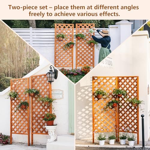 wood garden decor trellis for climbing plants outdoor, close-up detail