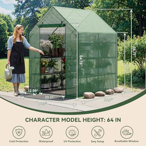 small greenhouse for outdoors, walk-in plant greenhouse with shown in use