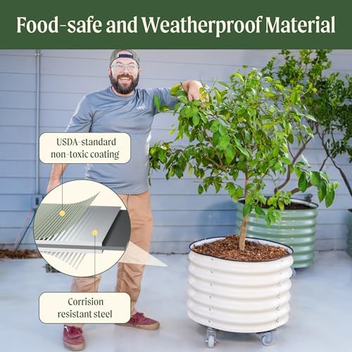 rolling metal citrus tree planter pot, 24″ round showing dimensions