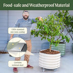 rolling metal citrus tree planter pot, 21″ round, package contents
