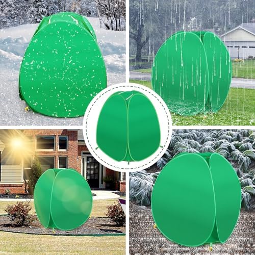 pop up winter plant covers, 28x28x33 freeze protection on a desk or shelf