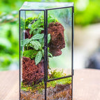 ncyp glass terrarium with front opening door for, close-up detail
