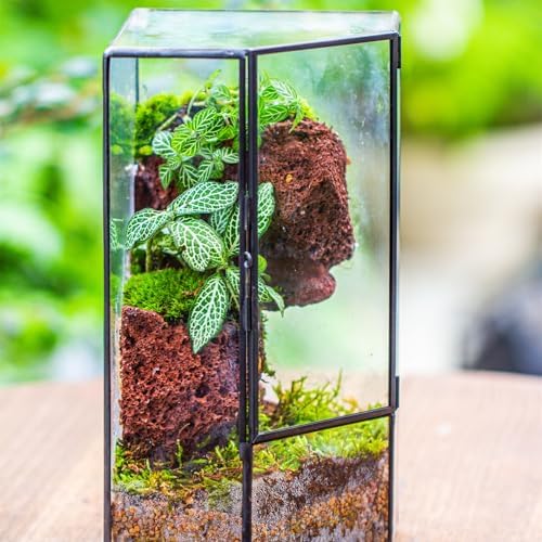 ncyp glass terrarium with front opening door for, close-up detail
