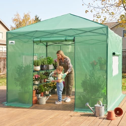 eagle peak 10x10 portable walk-in greenhouse, pop-up indoor showing dimensions