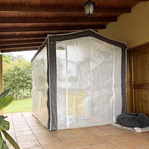 eagle peak 8x6 walk in pop up greenhouse on a desk or shelf