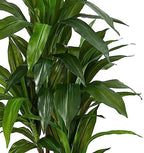 nearly natural 48 in artificial dracaena real touch, view 9