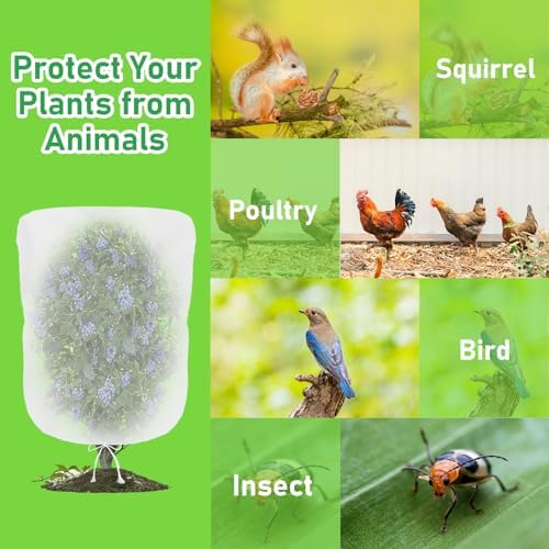 evoio 4 pcs garden plant fruit tree bird shown in use