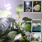 Led Grow Light Bulbs for Indoor Plants Full Spectrum E26 A19 | Grow LED Lamp 10W with Balanced 5000K Red Blue for Seeds Greens Laboratory,School,Greenhouse, Indore Garden, Hydroponic,3Pack