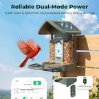 kiwibit solar smart bird feeder with camera, 4k, close-up detail