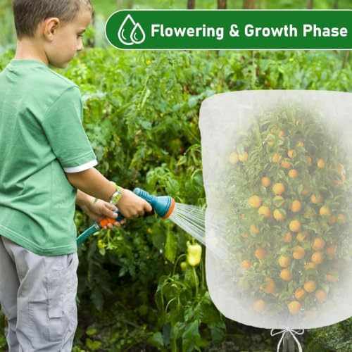 evoio 4 pcs garden plant fruit tree bird, front angle view