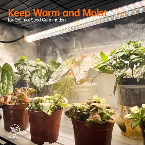 bstrip indoor greenhouse with grow light oxford cover, close-up detail
