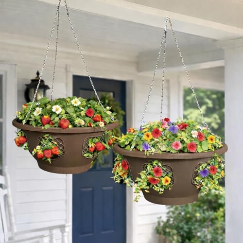 ultimate hanging baskets - strawberry, tomato, flower, and on a desk or shelf