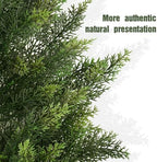 vitalismo 3ft artificial cedar trees set of 2, close-up detail