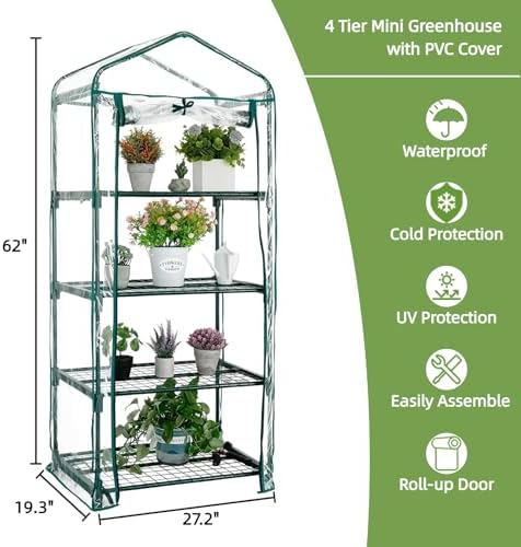 mini greenhouse for indoor outdoor, small plants green showing dimensions