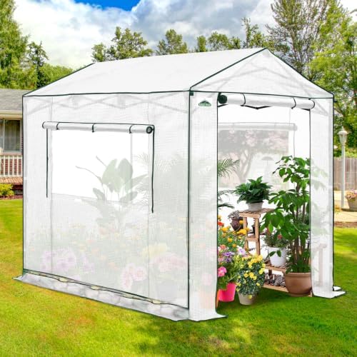 eagle peak 8x6 pop up walk in greenhouse showing dimensions